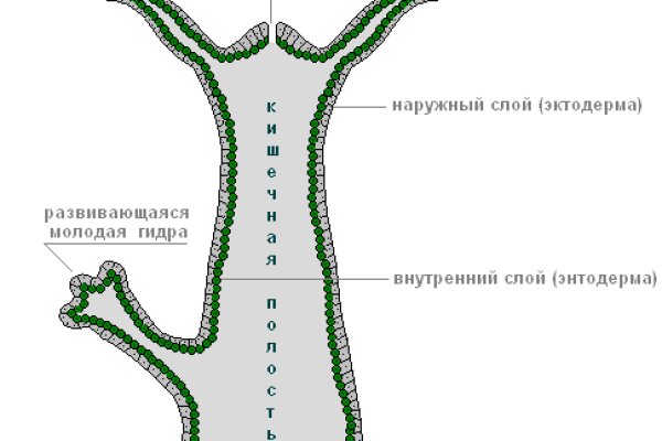 Кракен сайт маркетплейс ссылка