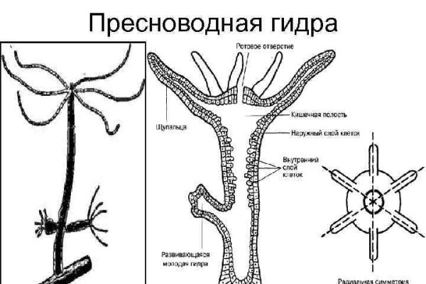 Что такое kraken в россии