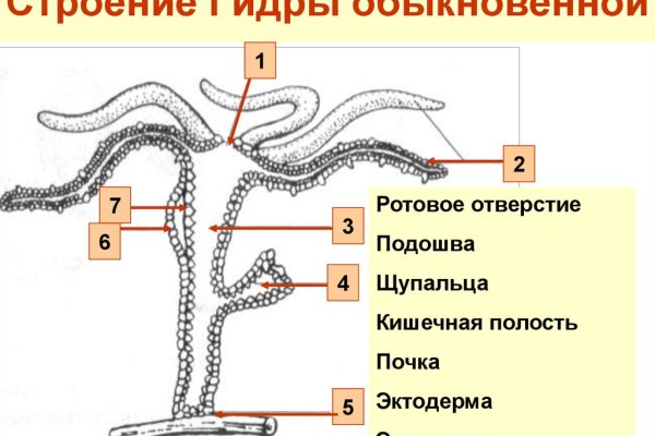 Кракен наркотики россия
